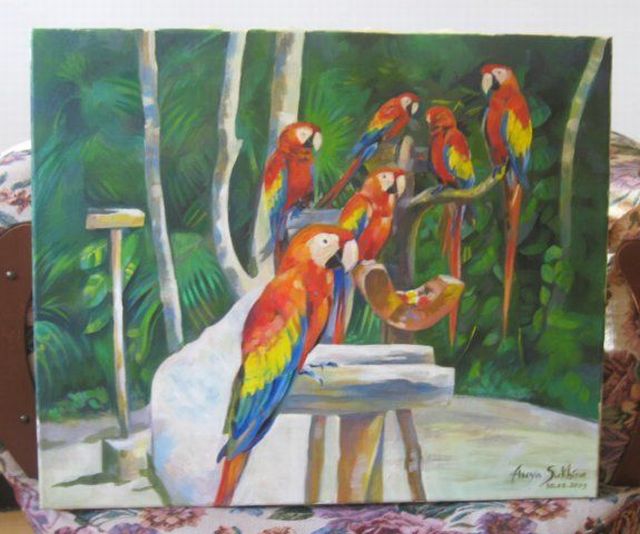 Pictures sent by users (53 pics)