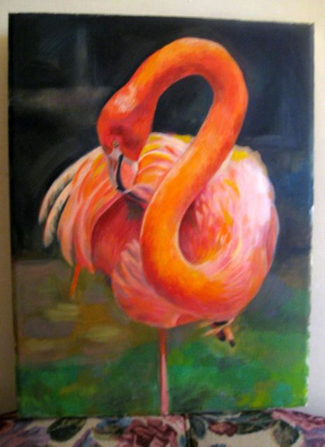 Pictures sent by users (53 pics)