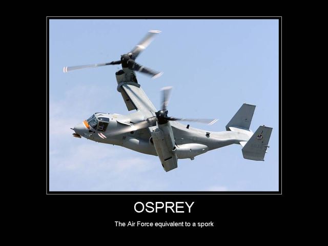 Pictures sent by users (53 pics)