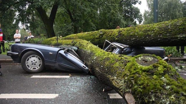 Pictures sent by users (53 pics)