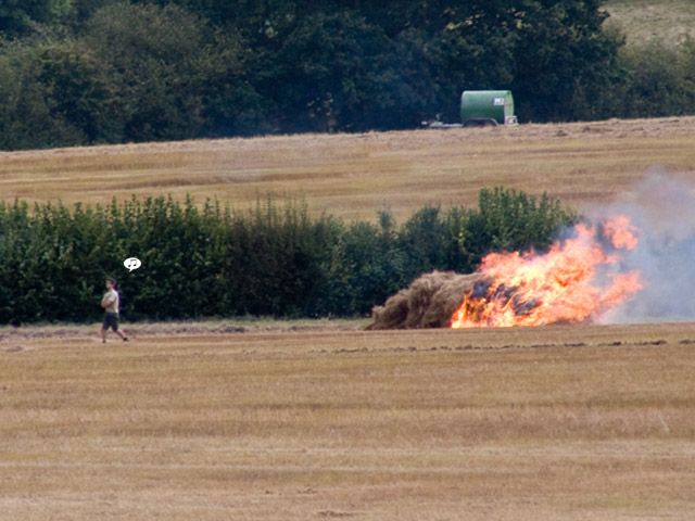 Pictures sent by users (53 pics)