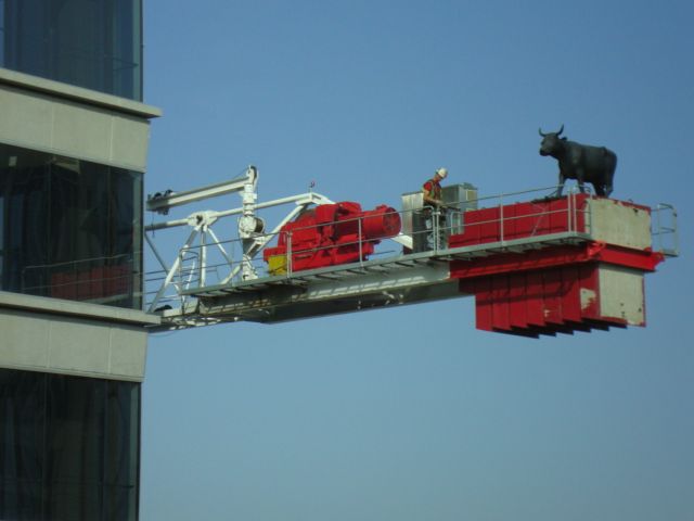 Pictures sent by users (53 pics)