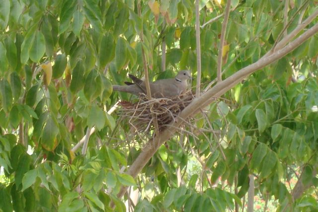 Pictures sent by users (53 pics)