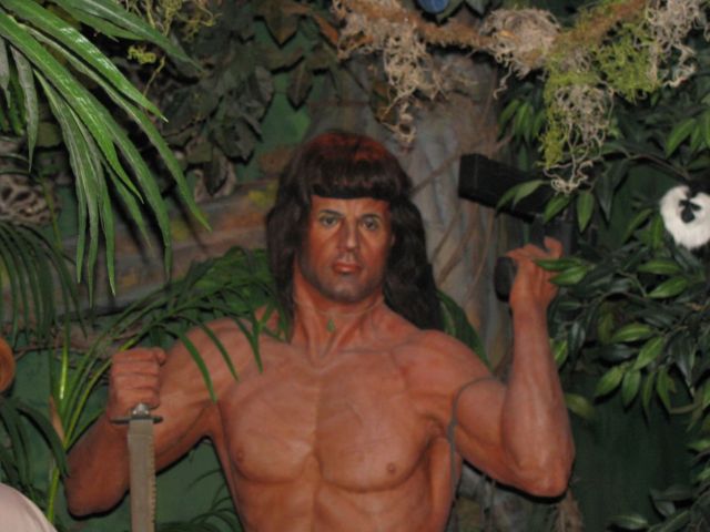 Pictures sent by users (53 pics)