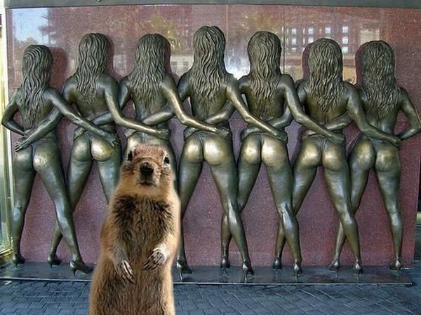 Pictures sent by users (53 pics)