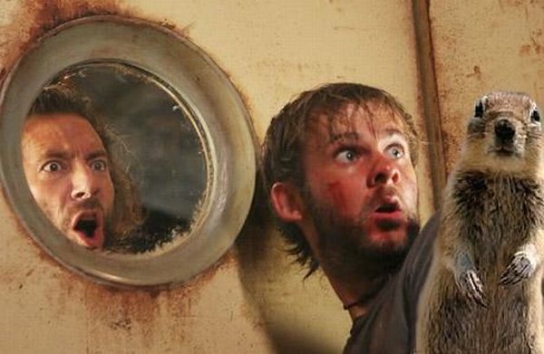 Pictures sent by users (53 pics)