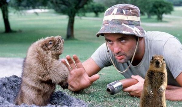 Pictures sent by users (53 pics)