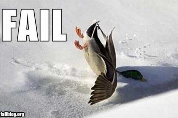 Epic fails. The best of the best. Part 1 (79 pics)