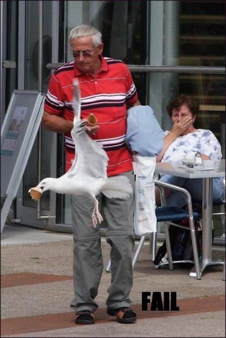 Epic fails. The best of the best. Part 1 (79 pics)