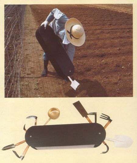 Only in Asia (145 pics)