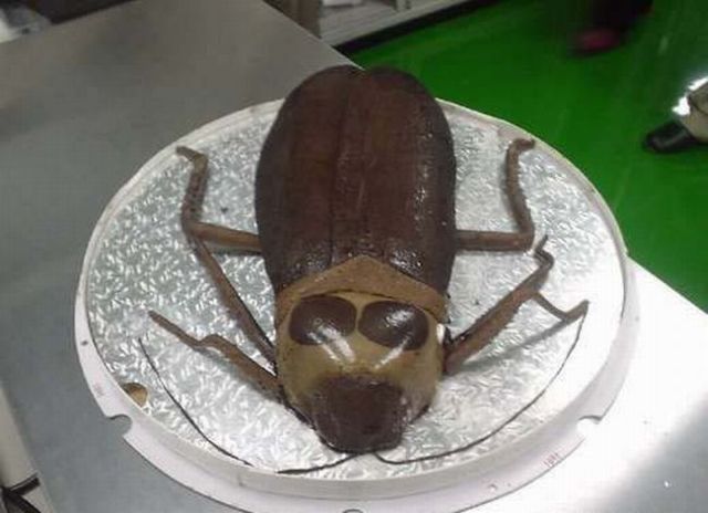 Only in Asia (145 pics)