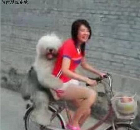 Only in Asia (145 pics)