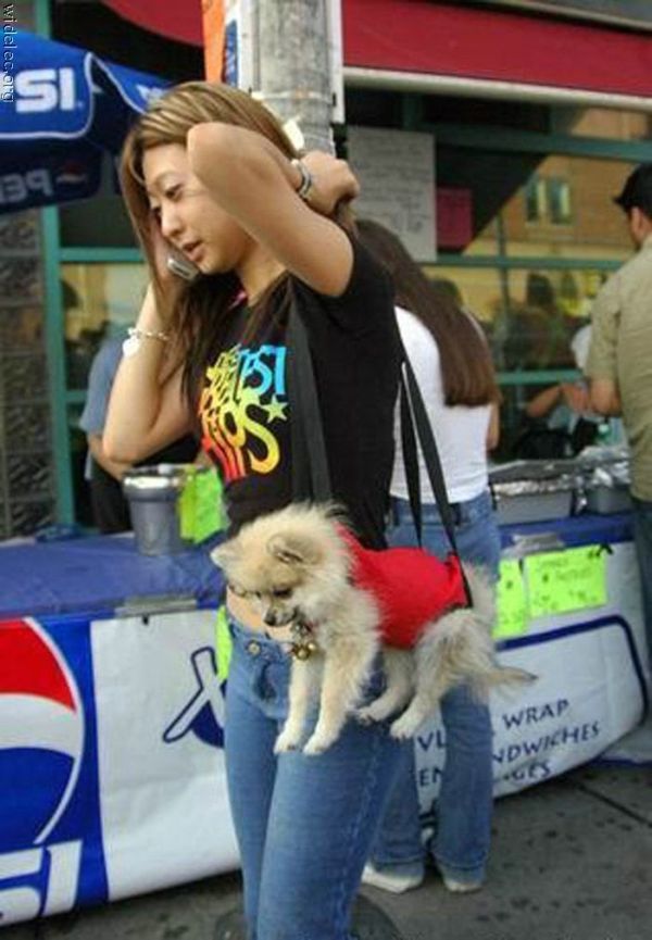 Only in Asia (145 pics)