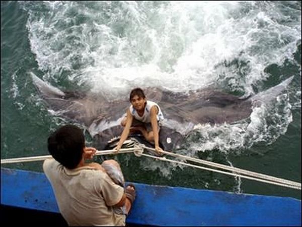 Only in Asia (145 pics)