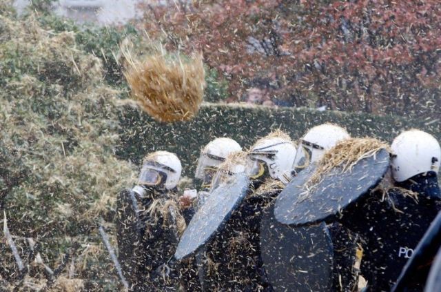 Daily picdump (118 pics)