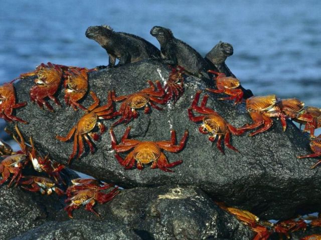 Daily picdump (118 pics)