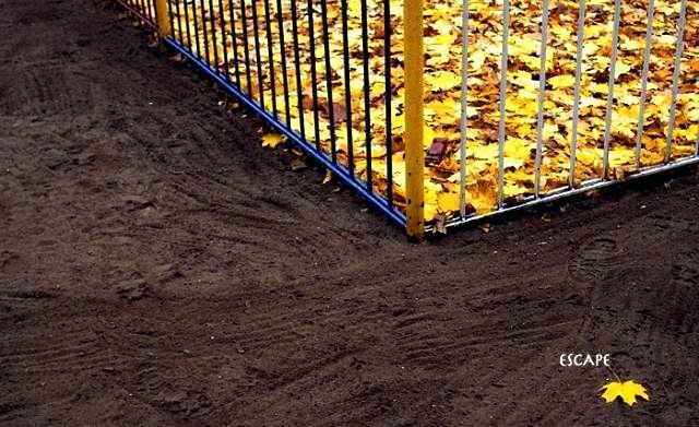 Daily picdump (118 pics)