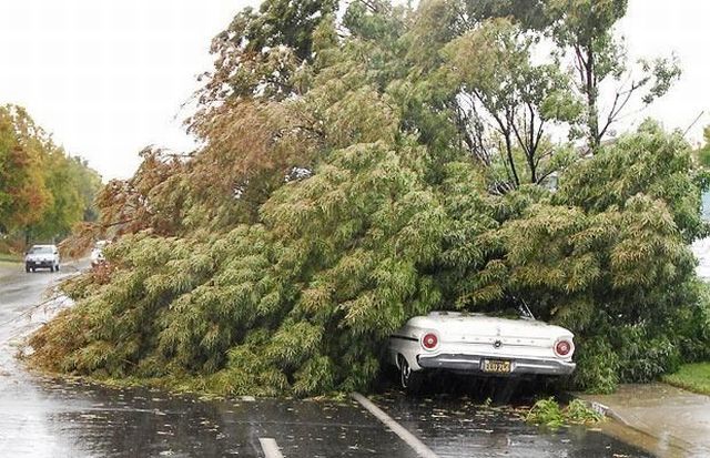 Daily picdump (118 pics)