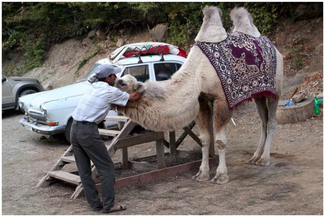 Daily picdump (118 pics)