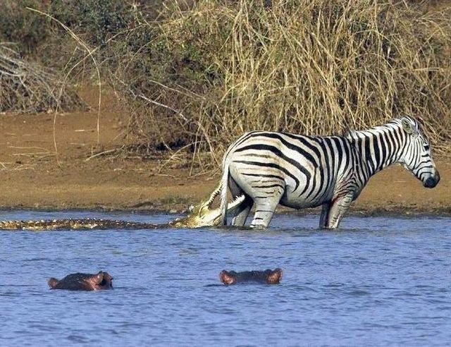 Daily picdump (118 pics)