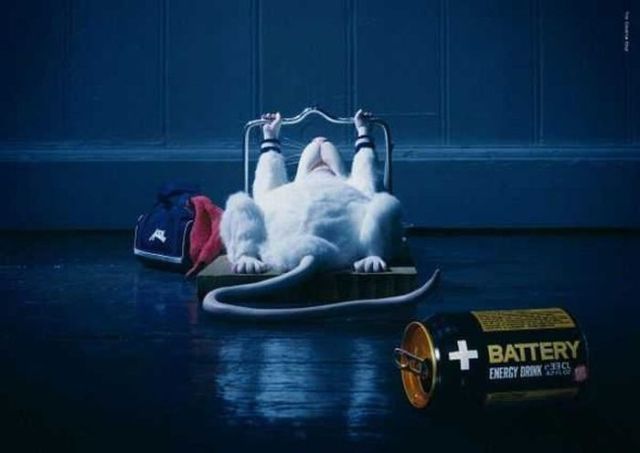 Daily picdump (118 pics)