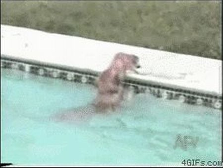 Curiosities and bonus pictures