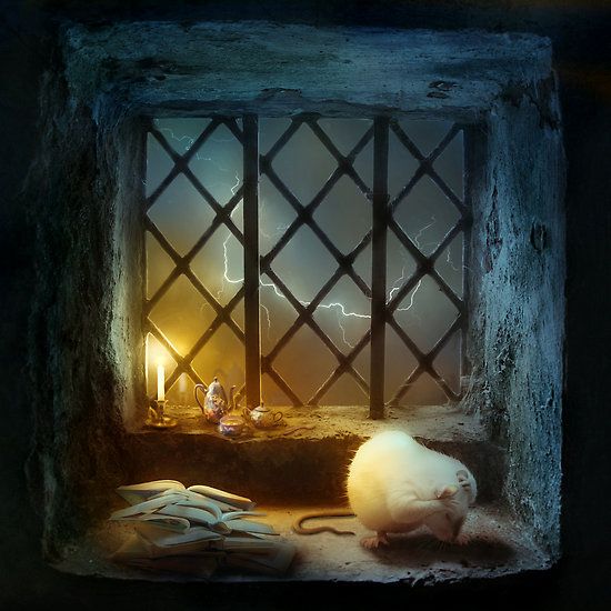 Daily picdump (118 pics)