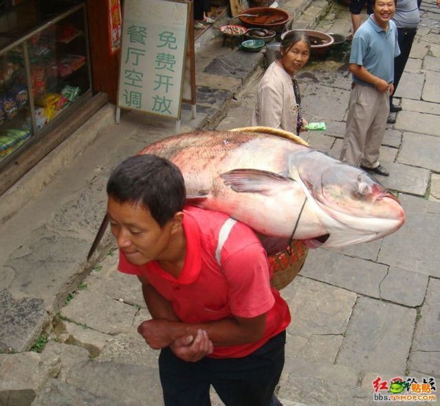 Daily picdump (118 pics)