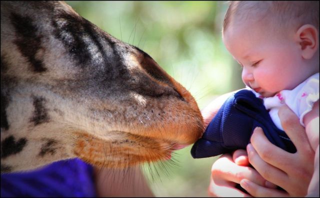 Daily picdump (118 pics)