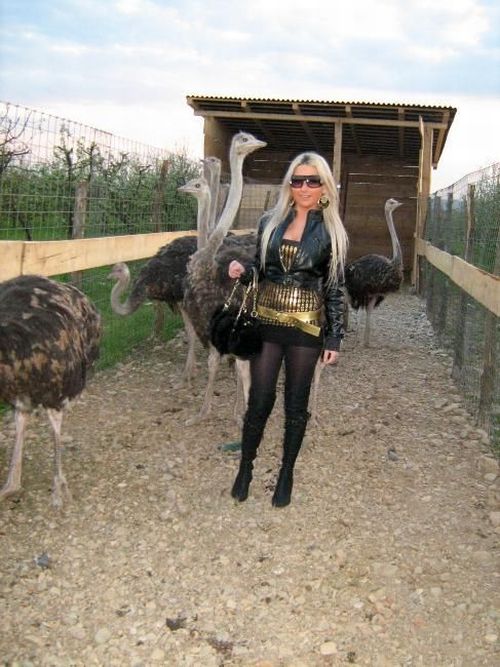 Pictures sent by users (52 pics)