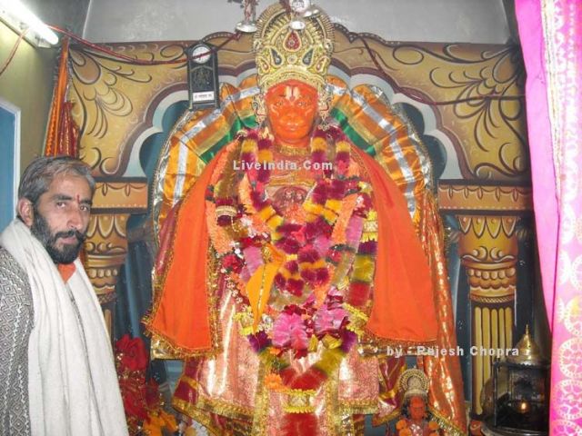 Pictures sent by users (52 pics)