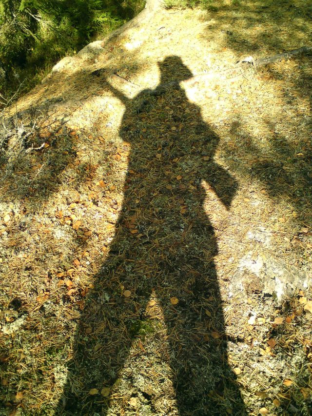 Pictures sent by users (52 pics)