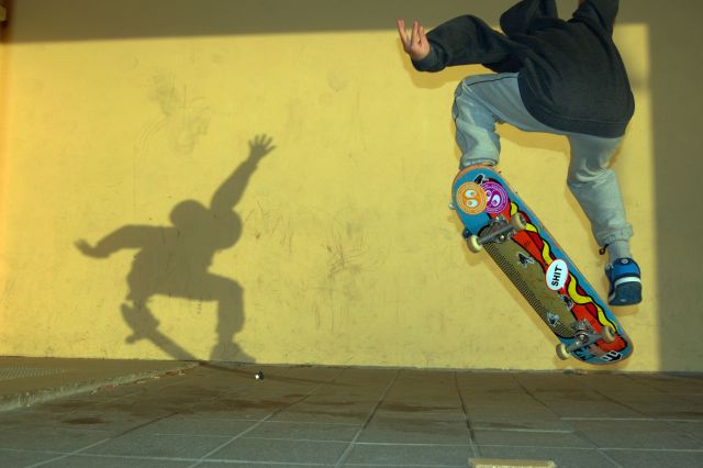 Pictures sent by users (52 pics)