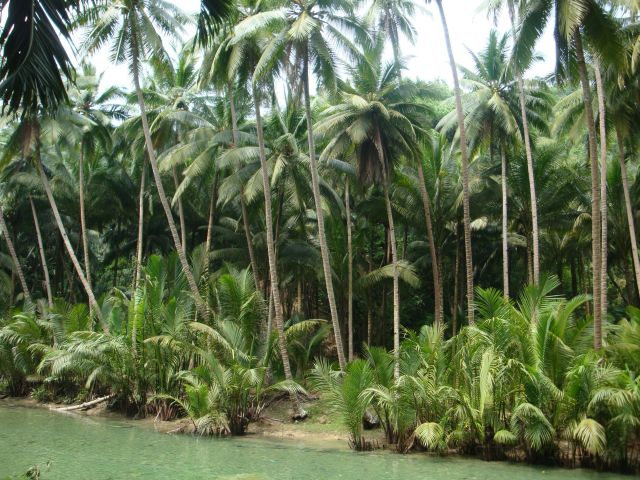 Pictures sent by users (52 pics)