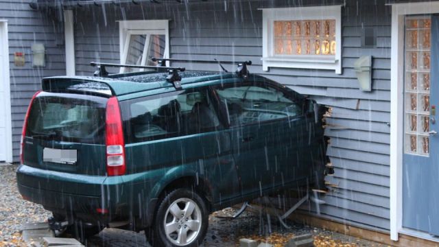 Pictures sent by users (52 pics)