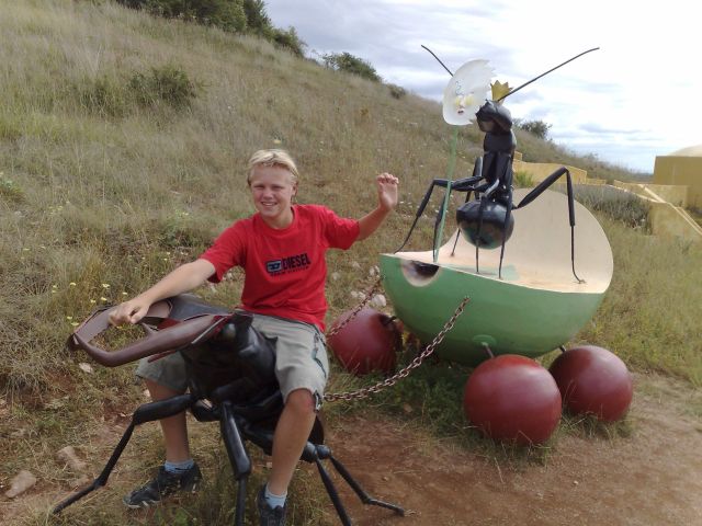 Pictures sent by users (52 pics)