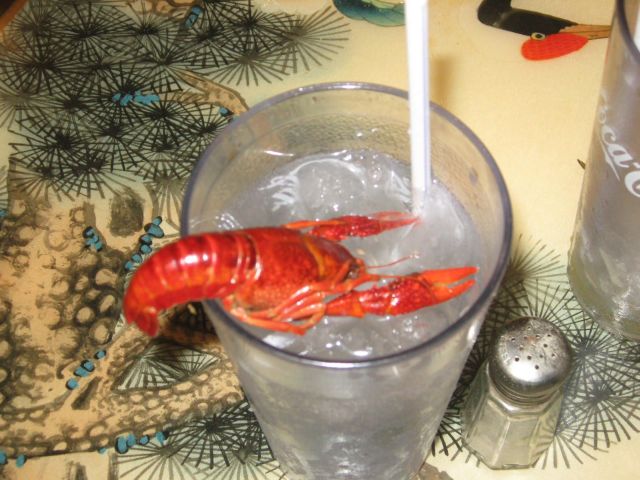 Pictures sent by users (52 pics)