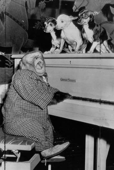 WTF Retro Pictures (65 pics)