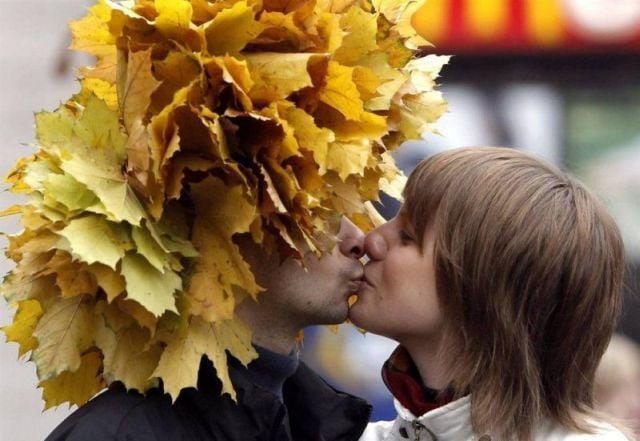 Daily picdump (111 pics)