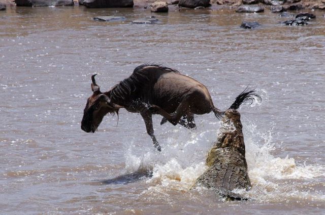 Daily picdump (111 pics)