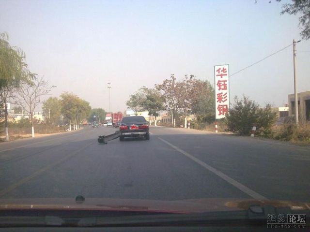 Daily picdump (111 pics)