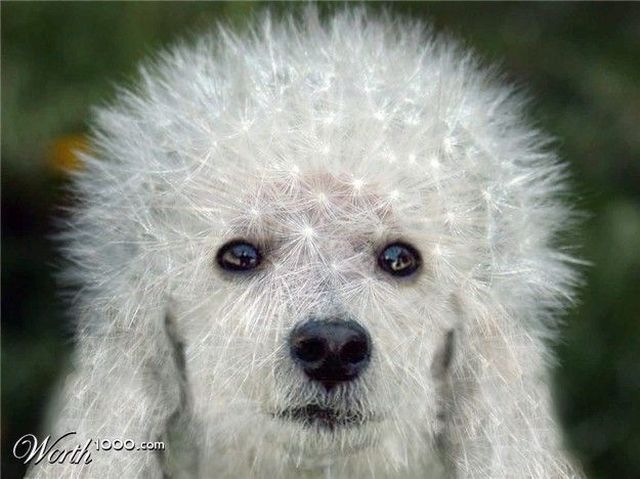 Daily picdump (111 pics)