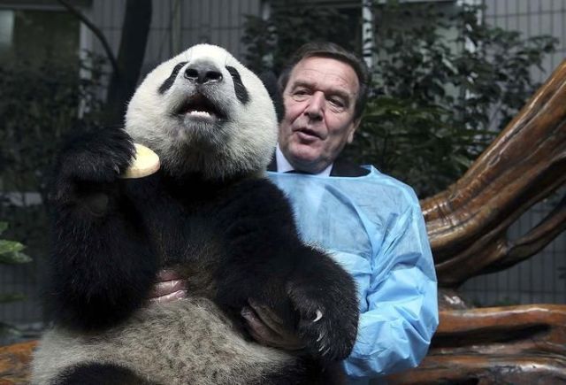 Daily picdump (111 pics)