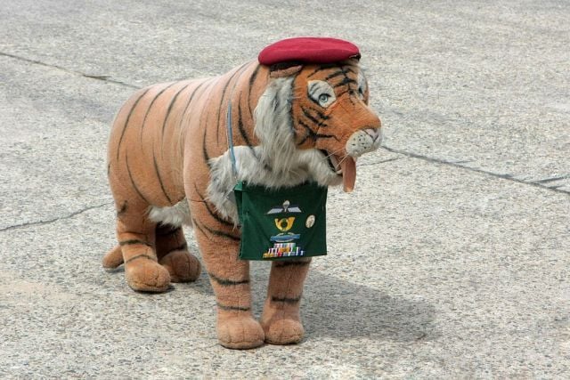 Daily picdump (111 pics)