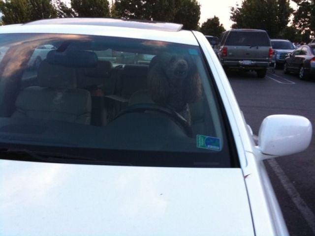 Daily picdump (111 pics)