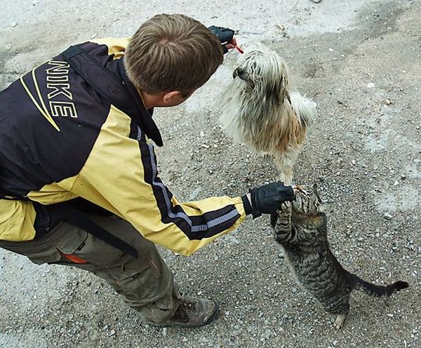 Daily picdump (111 pics)