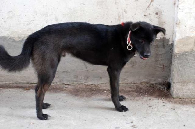 Funny Couple (17 pics)