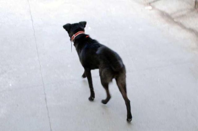 Funny Couple (17 pics)