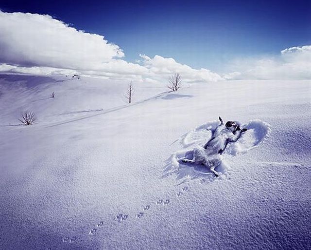 World’s Best Photo Retouching (76 pics)