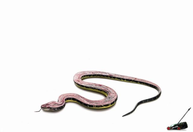 World’s Best Photo Retouching (76 pics)